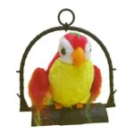 Talk Back Parrot – Multi Color in Pakistan